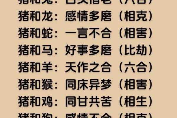 属猪人的命与五行：揭秘其命理特征与性格魅力
