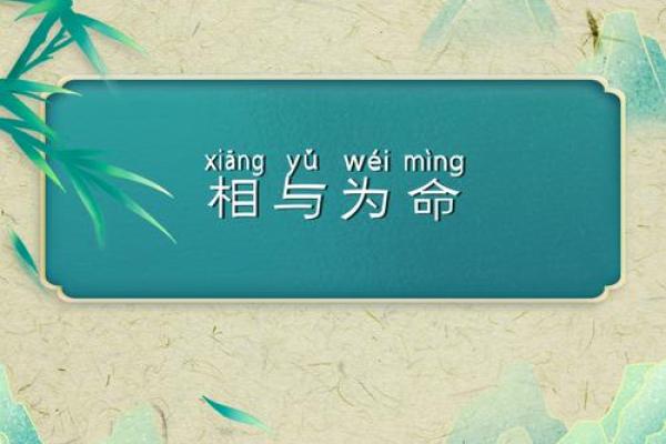 相与为命：揭秘中国古代对动物的独特理解与象征意义