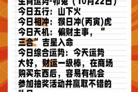 2023兔年命运解析：如何把握机会迎接飞跃人生