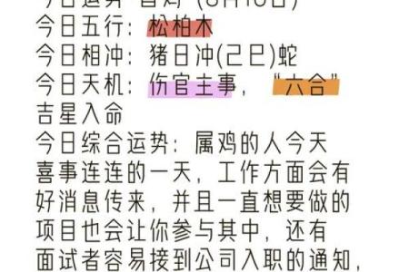 2006年鸡年运势解析：命运与性格的完美结合