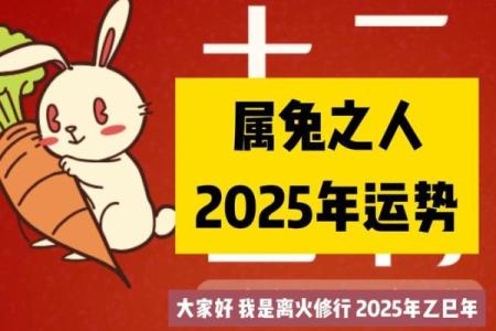 兔年出生的你，命格与运势详解！当年兔子是何命？