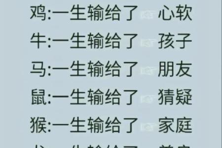 命夫妻的深意与生肖解析：揭示缘分与运势的奥妙