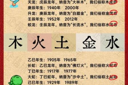 1964年属龙的命运与人生解析：勇者的旅途与智慧的积淀