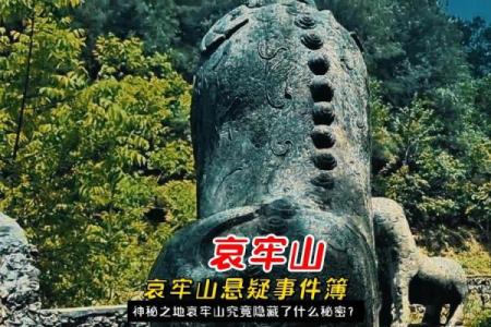 揭开仙命藏山之谜：哪个座山不宜葬？