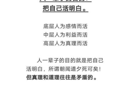 探秘：狗年冬月出生的人命运解析与人生智慧
