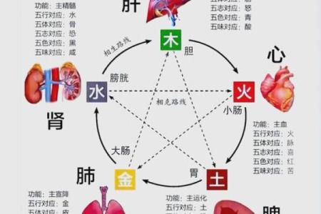 庚辰癸未己丑癸酉命理解析：命运中的五行奥秘与人生启示