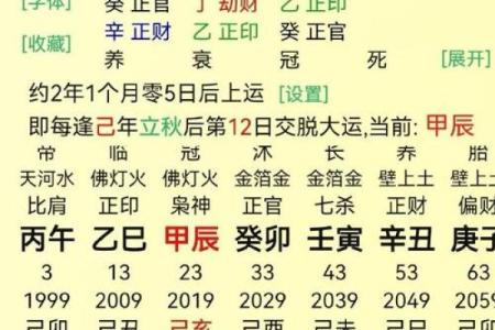 戊寅丙辰丁亥丙午：命理中的五行解析与人生启示