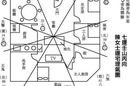 青龙命格女人的特质与命运解析