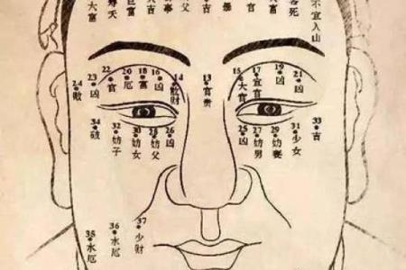 揭秘面相学：如何通过面相判断男人的富贵命运