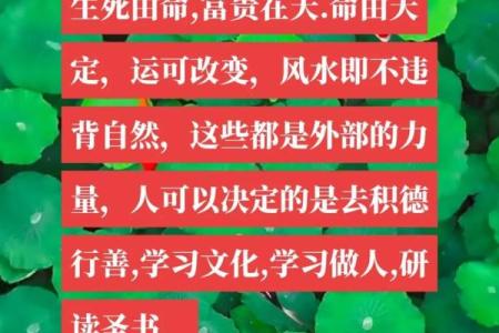 探秘“尽命”的深刻含义与生活启示