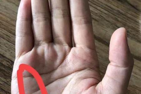 掌纹杂乱无章：探寻命运的奥秘与人生的启示