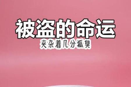 探寻命格之谜：我与命运的微妙联系