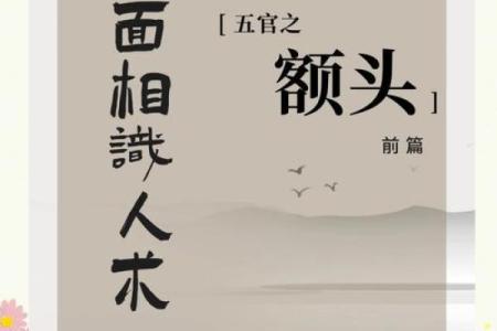 揭开面相的秘密：男左女右的命格解析与人生启示