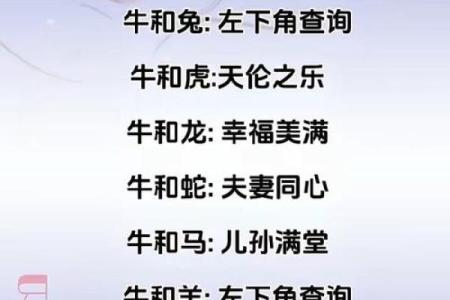 属牛人命运与五行解析：一生的财富与幸福之路