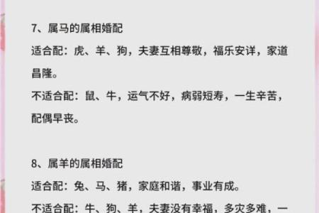 命理相克：如何通过生肖了解你的命运与运势