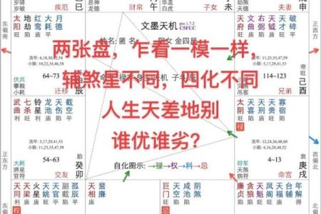 紫微命格揭秘：最佳命格与人生机遇的完美结合
