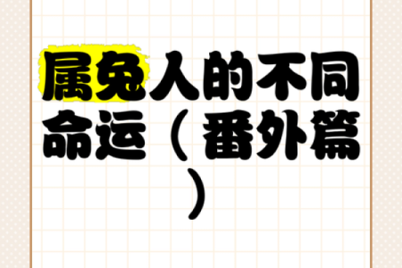 1961年兔年出生的命运解析：感性与智慧的结合之旅