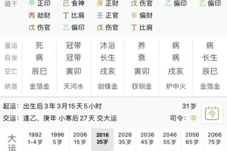 庚戌地支命局之谜：探寻金犬之年的命理奥秘与人生启示