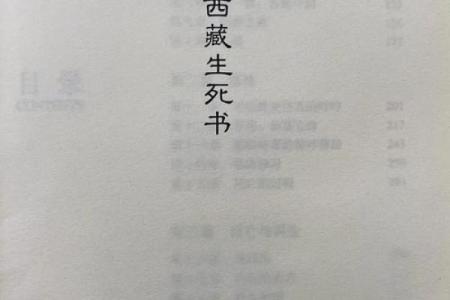 探索命义：揭示生命的深层意义与应用