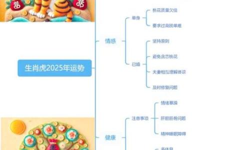 属虎卯时出生的命运解析：探索辉煌人生的秘密