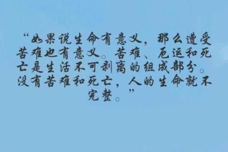 探寻“清命”的深刻意涵与生活启示