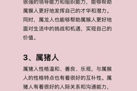 1968年属猴的人命运与性格分析：聪明机智的生肖魅力