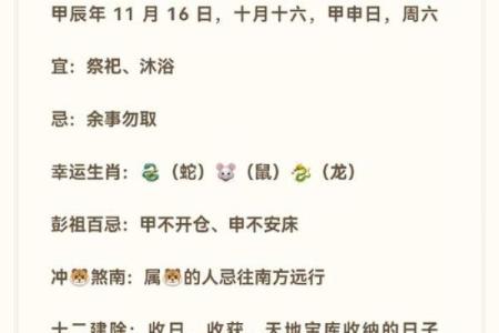 属虎火命人士最适合的物件与风水布局指南