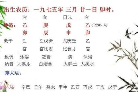 1997年水命详解：透视命理与生活的深远影响