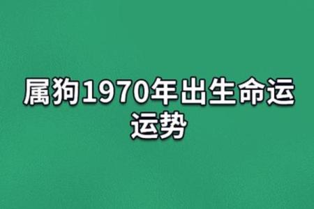 2020年属狗人的命运解析：如何把握机会，实现人生理想！