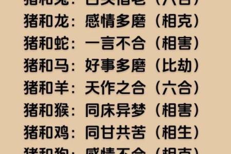 属猪人的命与五行：揭秘其命理特征与性格魅力