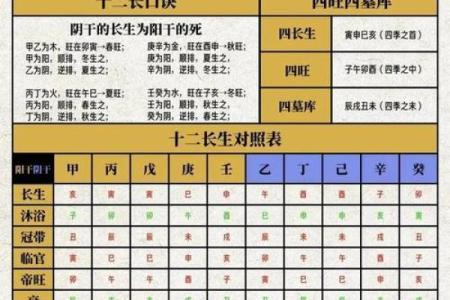 1946年出生的人，命五行解析与人生智慧