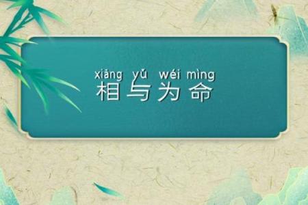 相与为命：揭秘中国古代对动物的独特理解与象征意义