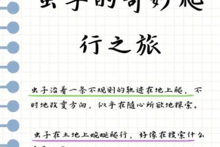 探秘日常生活中的趣味缺失与发现之旅