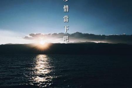 交换生命的抉择：一命换一命的深刻思考与伦理探讨