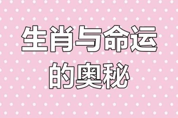 70岁属什么生肖与命运揭示：揭秘人生的关键转折点