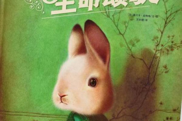 1988年兔子命：灵动智慧与幸福之路的解读