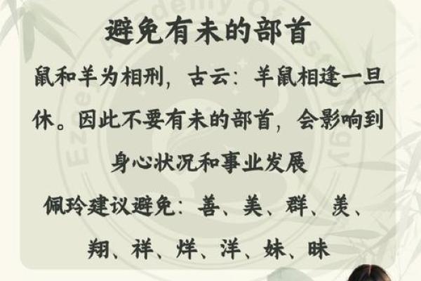 水鼠之年：解读1996年出生的命理特征与人生境遇