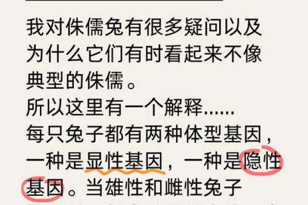 兔子的短命之谜：自然选择与生活习性大揭秘
