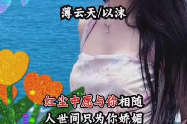 双飞蝴蝶：爱的象征与人生哲理的完美融合