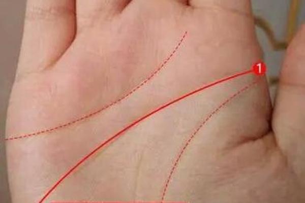 智慧线较粗之人的命运解析：独特的性格与人生轨迹