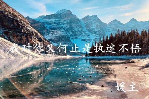 命不久矣的深刻比喻：生命如同花瓣逐渐凋零的旅程