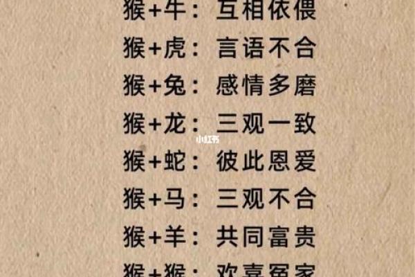 命不好与生肖的深刻联系：你属于哪一类？