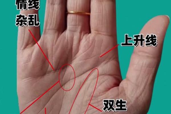 手型与命运的奇妙关系 揭秘命运的隐秘密码