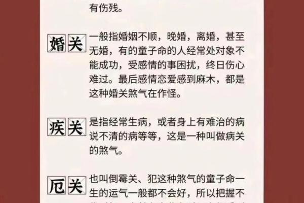 属黑马的命格分析：一窥命运与运势的奥秘