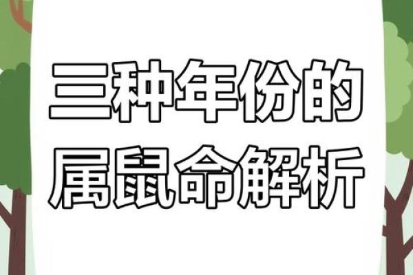 1984年属鼠的命运分析：从易经看人生运势的变化
