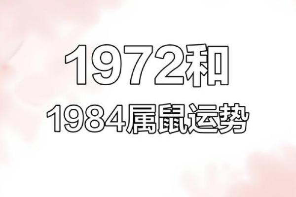 1984年属鼠的命运分析：从易经看人生运势的变化