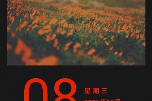 1962年冬月出生的命运与人生解析
