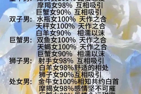 1966年出生的男孩的命运探秘：星座与人生的交织之路