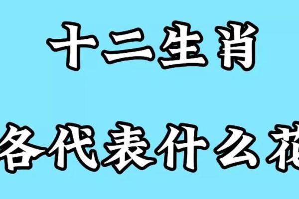 探究男人命苦生肖：哪些生肖的男性运势较低？
