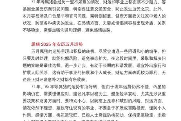 属猪人的命与运势：解析属猪的性格与未来趋势